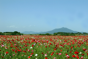 小貝川ふれあい公園