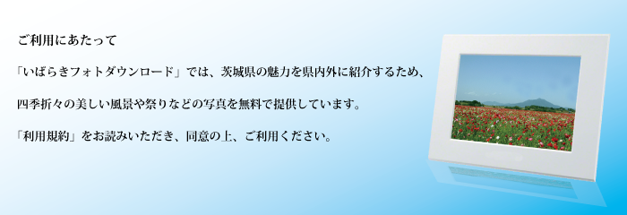 いばらきの四季折々の美しい風景や祭りなどを壁紙にしました。それぞれダウンロードして,ポストカードやパソコンの壁紙などにご使用ください。