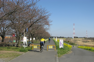 利根渡良瀬サイクリングコース