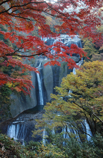 県北周遊バス