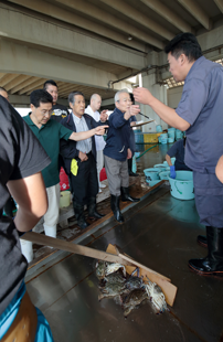 写真：那珂湊漁港でのせりの様子