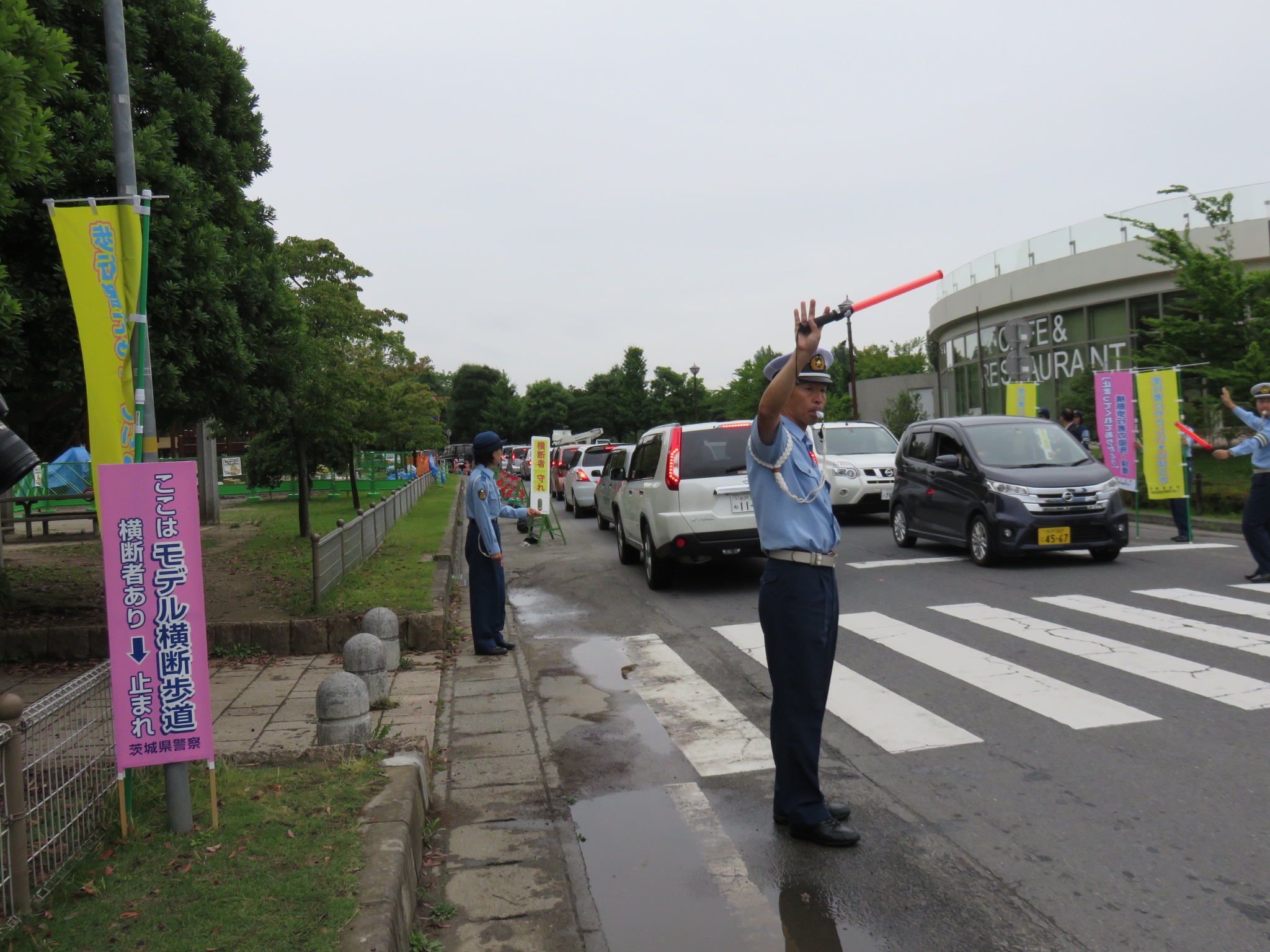 モデル横断歩道の写真