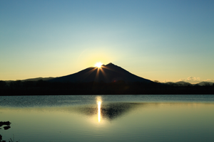 母子島遊水池