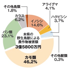 鳥獣別被害割合（2022年度）