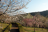 十王パノラマ公園