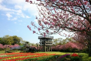 木原城山公園