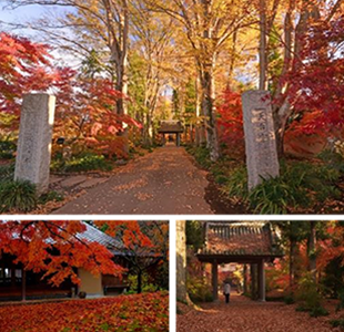 最勝寺の紅葉