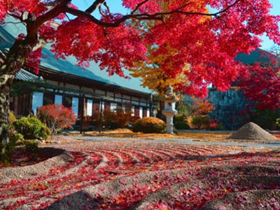 曜光山月山寺の紅葉