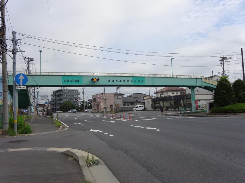 写真、桂不動産白山西小学校前歩道橋1