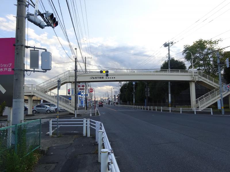 写真、桂不動産笠原歩道橋1