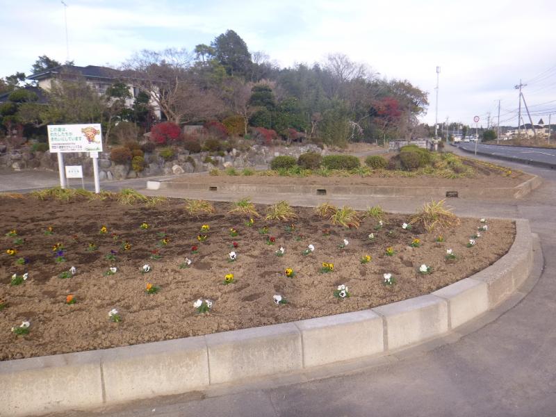 道路里親花壇画像