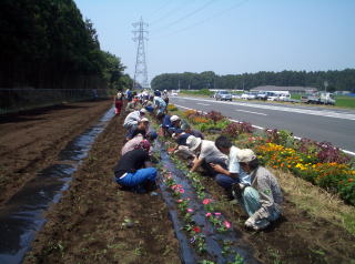 花壇を手入れする様子