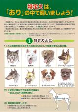 特定犬はおりの中で飼いましょう