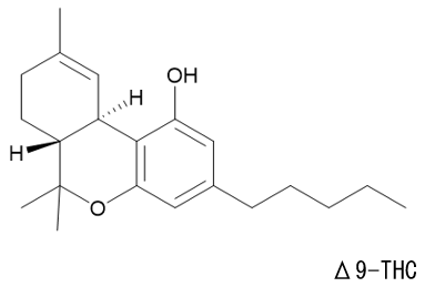 構造式_THC