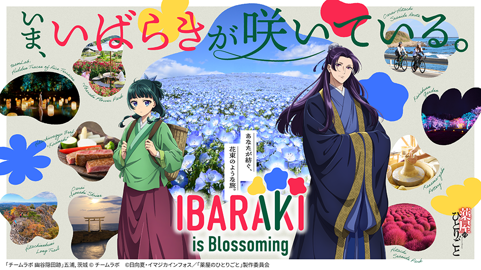 薬屋の巡遊録　画像