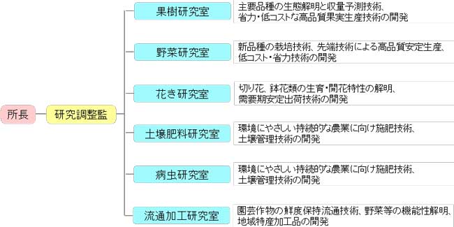 園芸研究所組織図