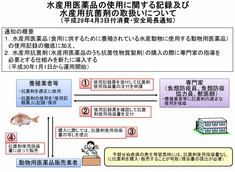 フロー図