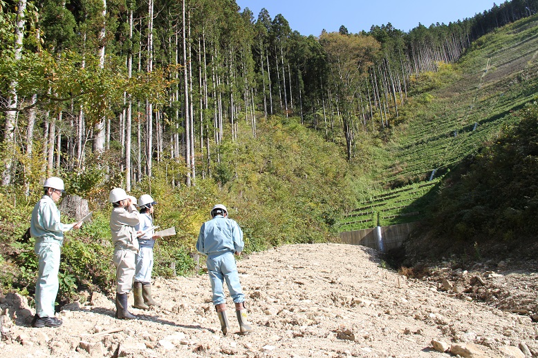 山地治山