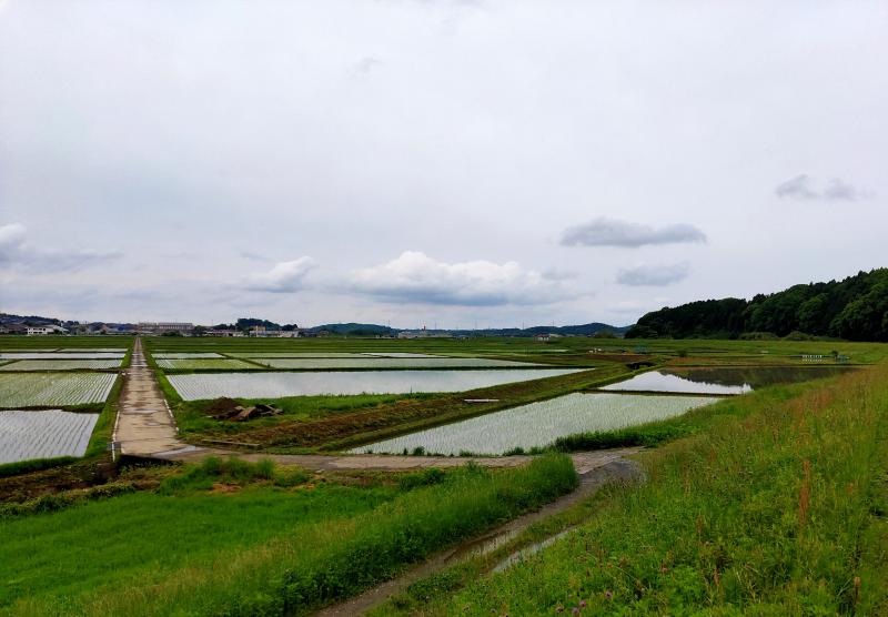 久米地区整備前