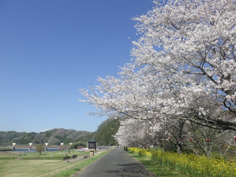 春の風景