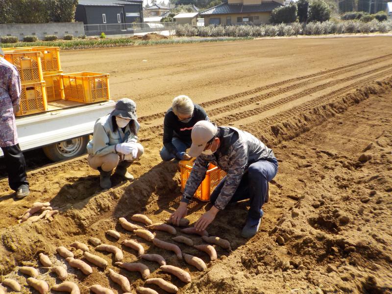 育苗研修圃場