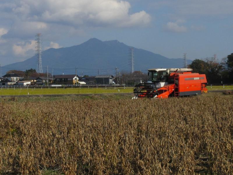 里のほほえみ収穫