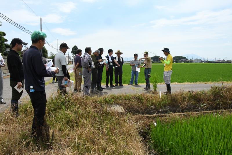 にじのきらめき栽培講習会1