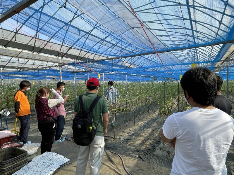 圃場見学の様子