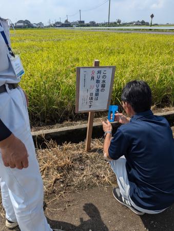 関城圃場