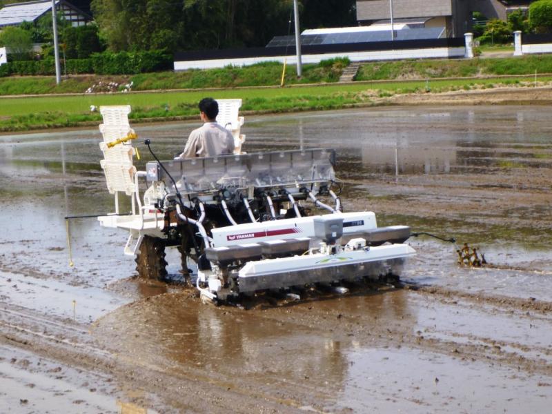 直播専用機を使用した播種