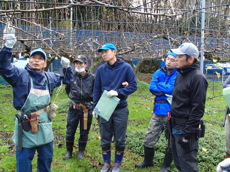 熱心に取り組む講習会参加者