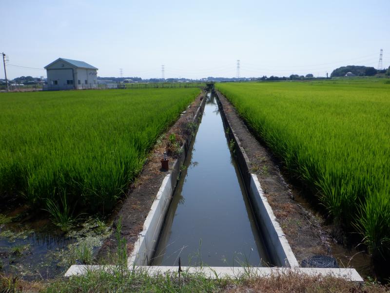 南総上流2期地区の水路