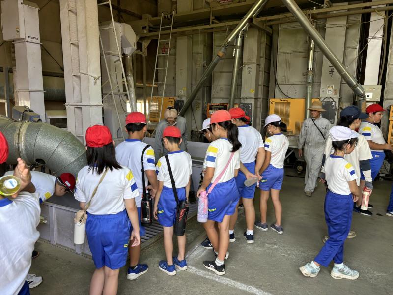 ライスセンター見学中