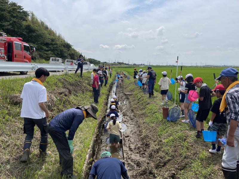 長須小生き物調査５