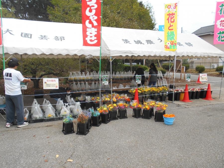 岩井農大祭直売所