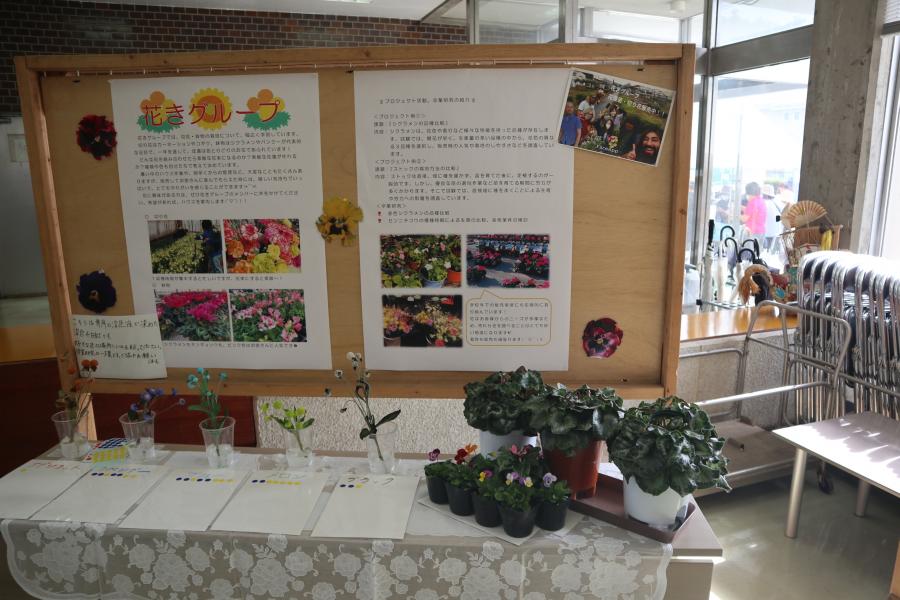 農大祭岩井学科展示