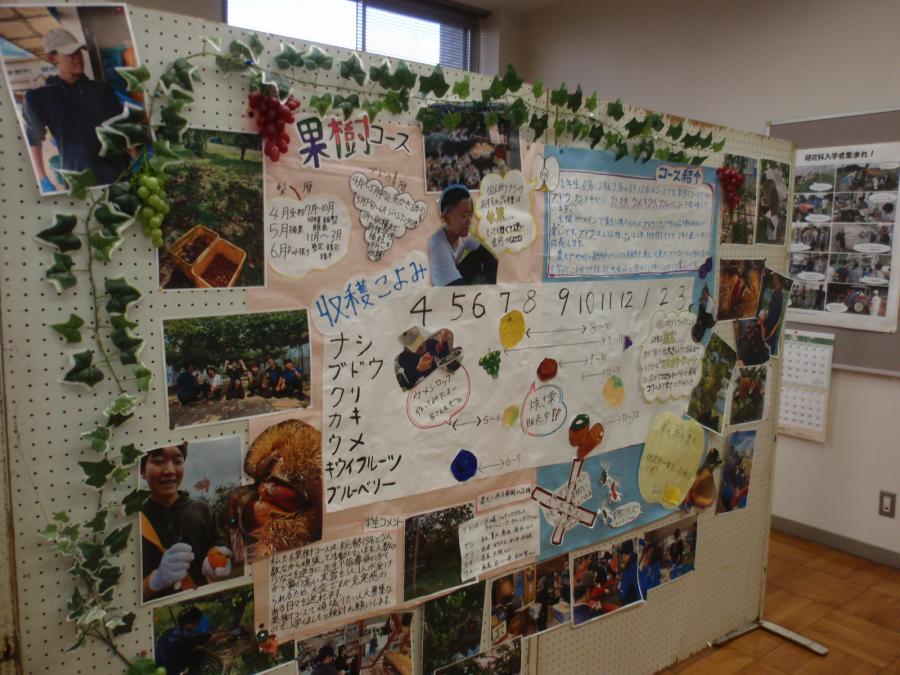 農大祭長岡学科展示