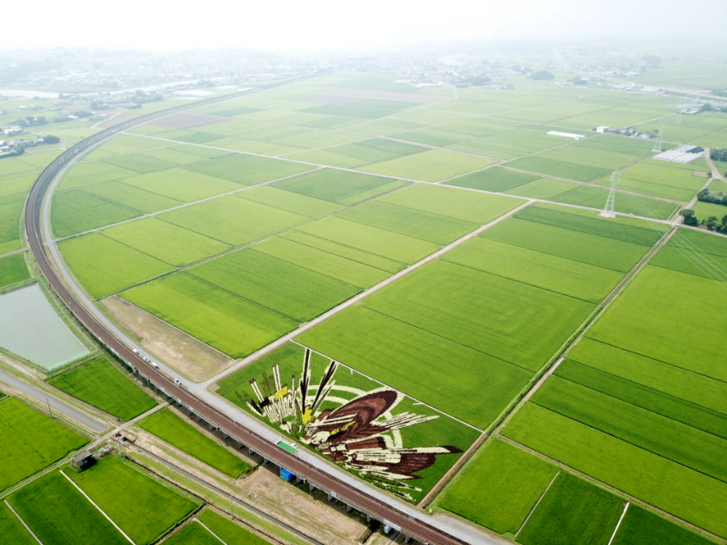 川又平戸地区