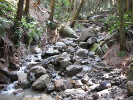 写真、渓床・渓岸浸食等により荒廃した渓流