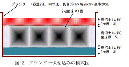 プランター伏せ込みの模式図