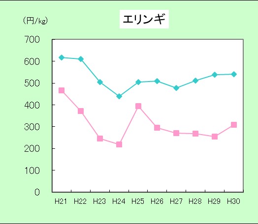 H29エリンギ