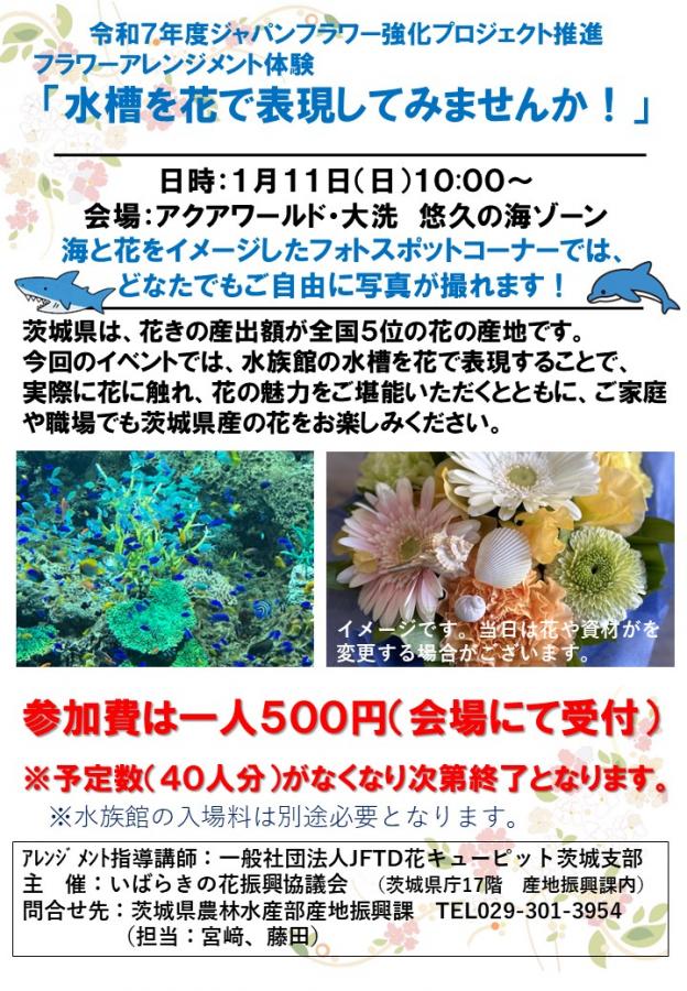 ちらし
