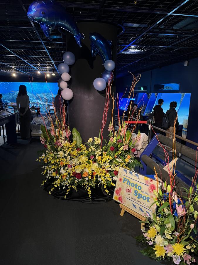 フォトスポット