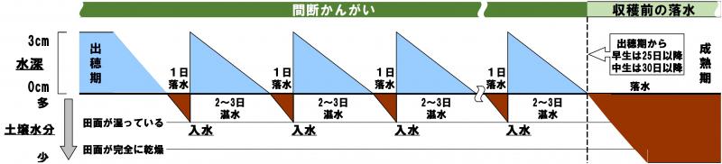 間断かんがい図