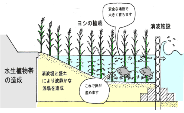 断面図