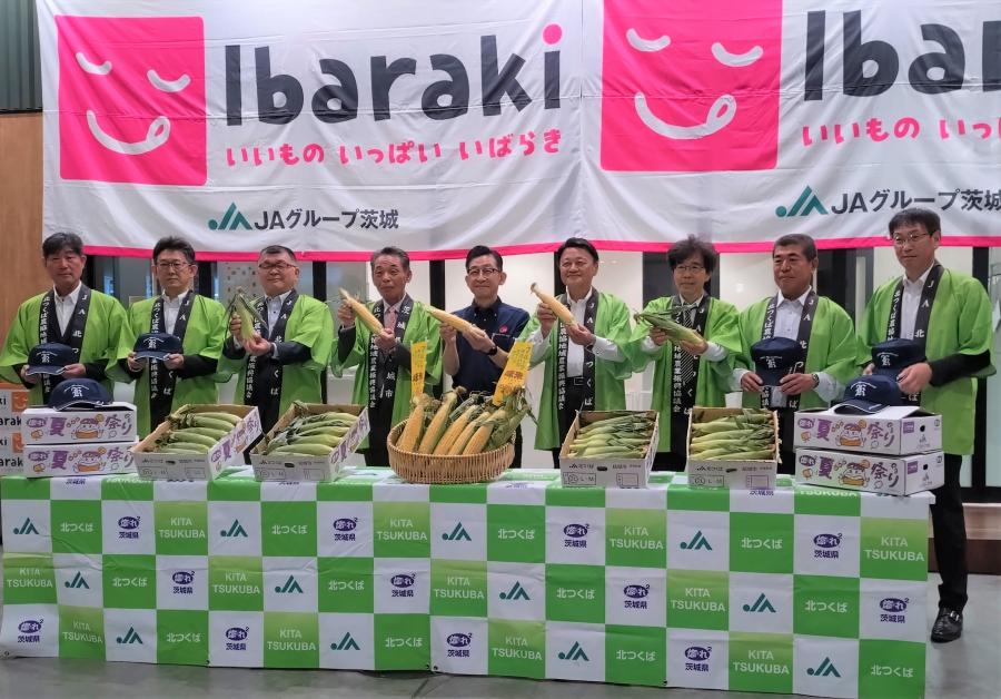 JA北つくばとうもろこしトップセールス