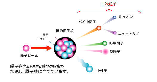 中性子の取り出し方