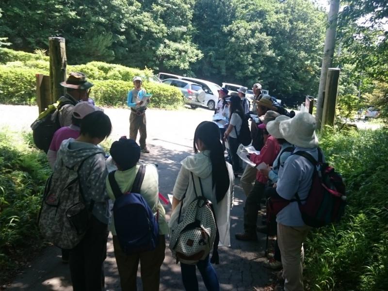 身近な自然観察会（北茨城野草サークル）