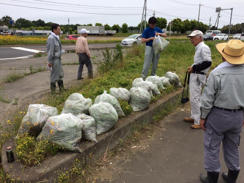 特定外来生物除去・啓発イベントの写真1