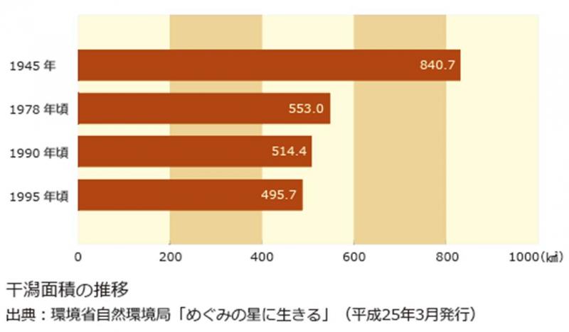 干潟面積の推移（出典：環境省自然環境局「めぐみの星に生きる」（平成２５年３月発行）